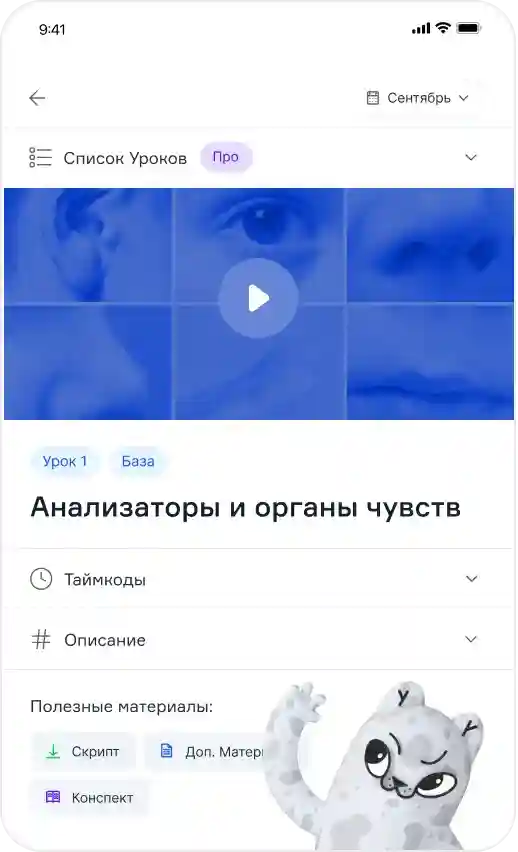 info pictures